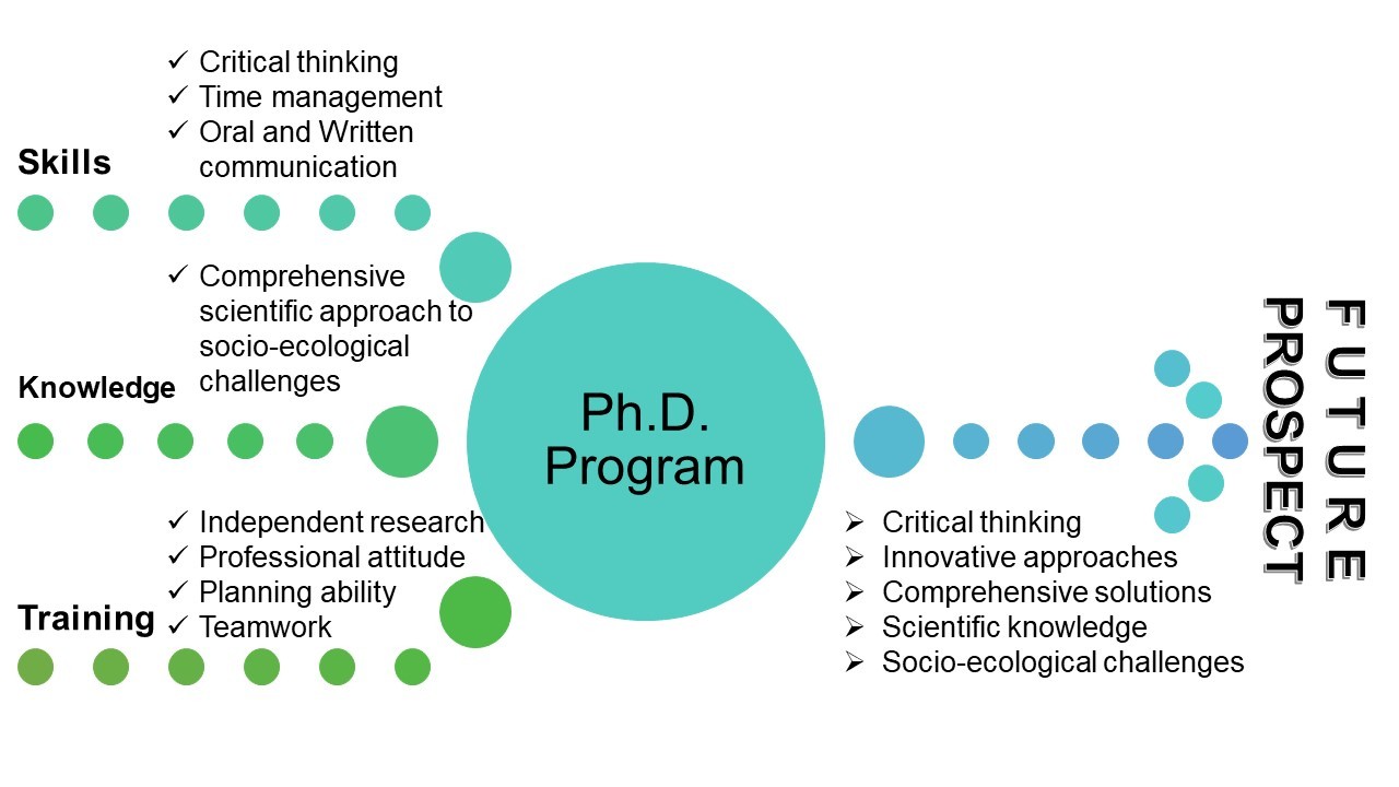 PHD