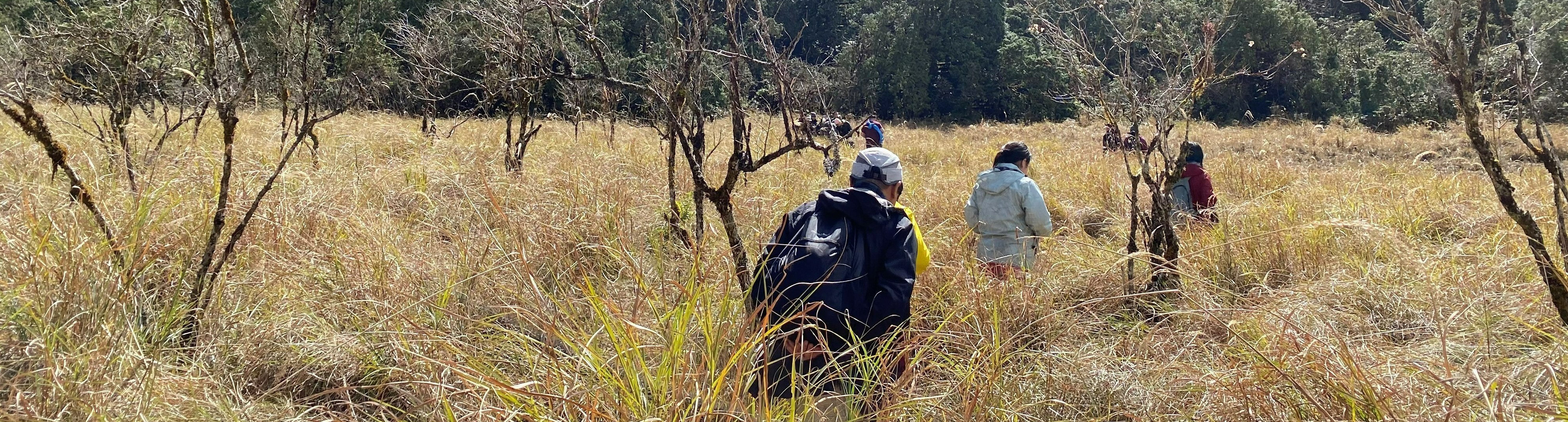 生態田野調查(二)實地考察長期生態研究樣區-棲蘭山鴛鴦湖